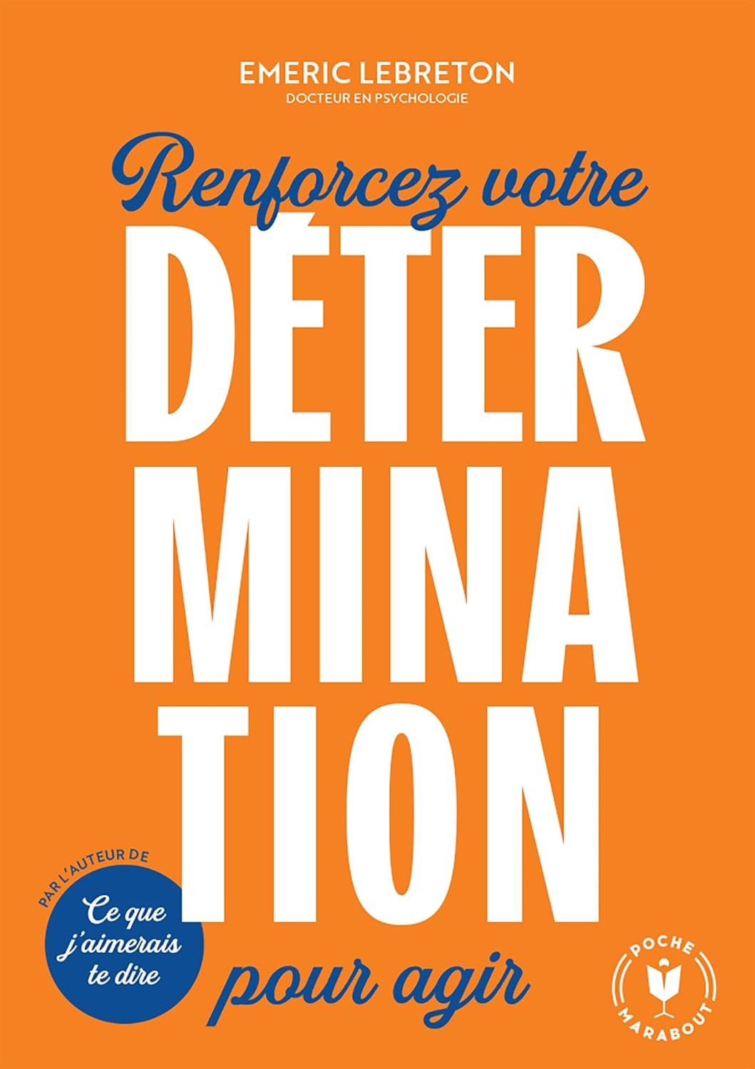Dans les pas de Mandela : révélez votre détermination et transformez votre vie