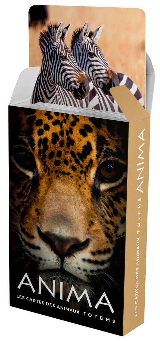 Jeu de cartes ANIMA animaux totems boîte du jeu développement personnel