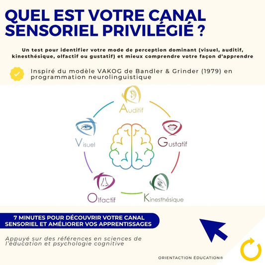 Test - Quel est votre canal sensoriel privilégié ?